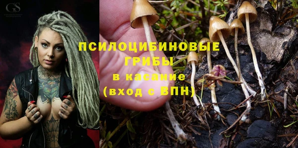 мдма Сясьстрой
