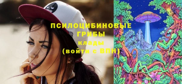 круглые Абаза