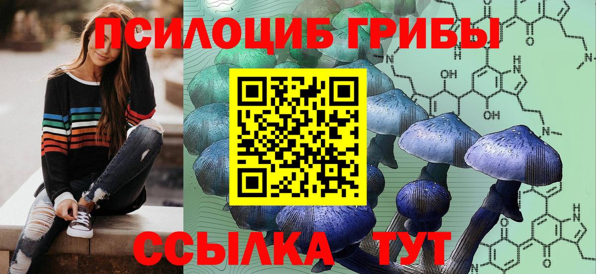 Псилоцибиновые грибы Psilocybine cubensis  Вход с VPN  Псилоцибиновые грибы MAGIC MUSHROOMS  Юрга 