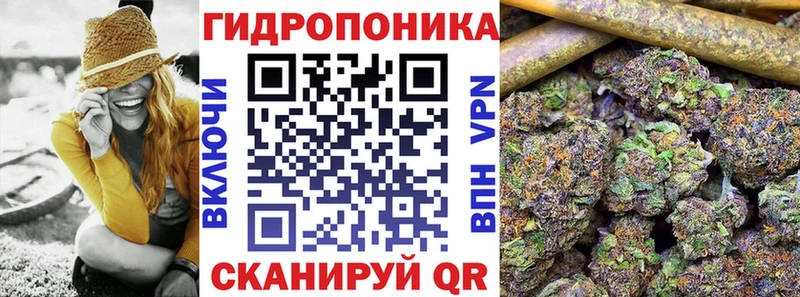 Бошки марихуана сатива  Юрга 